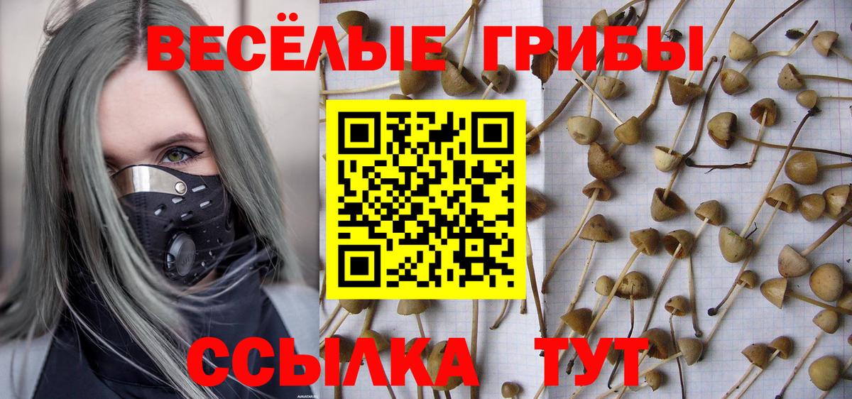 Галлюциногенные грибы MAGIC MUSHROOMS Отрадное